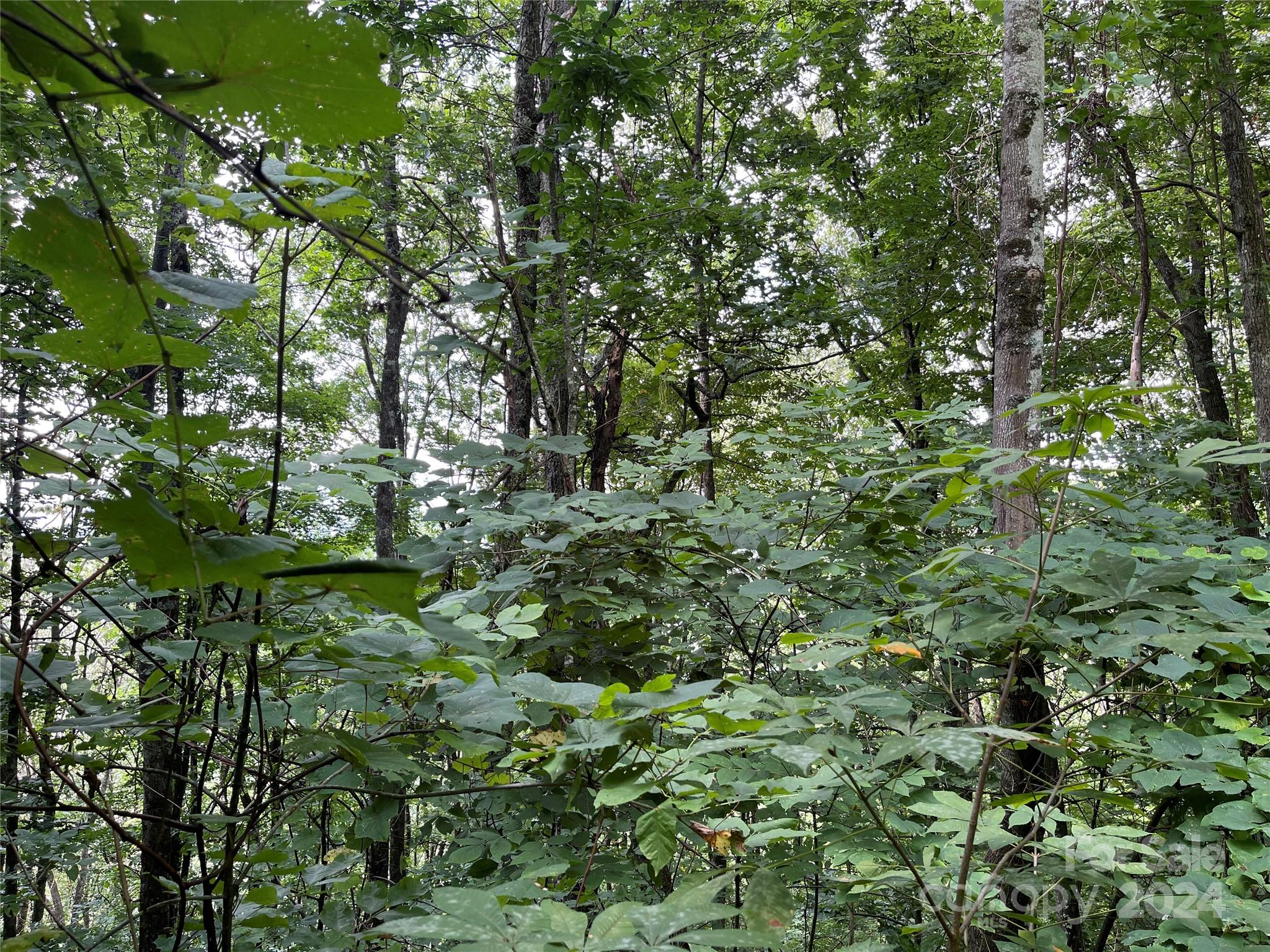 Friendly Acres - Land