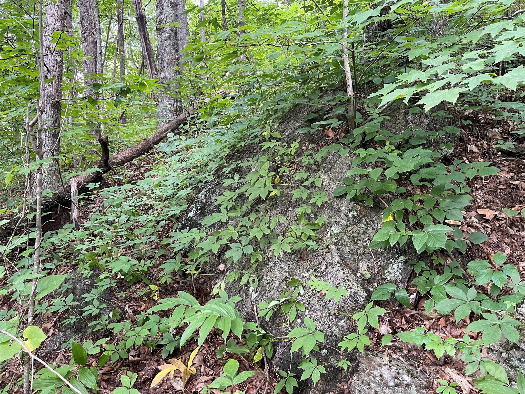 Friendly Acres - Land