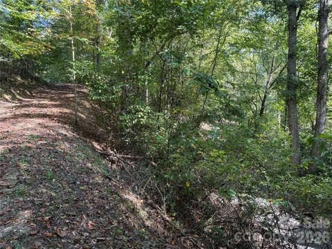 Photo of 000C Rosalie Lane, Waynesville, NC 28785 (MLS # 4426289)