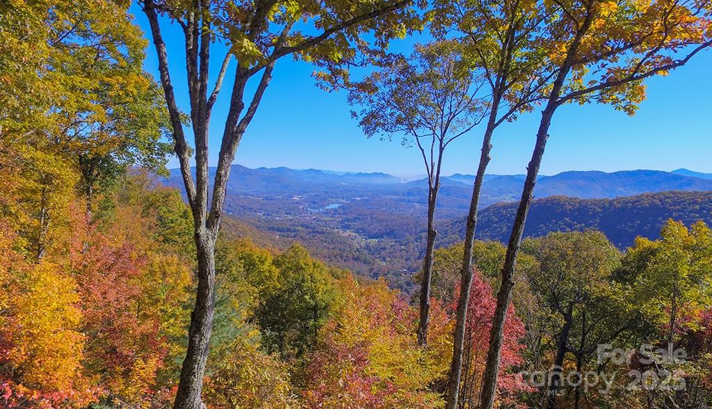 382 Walela Trail