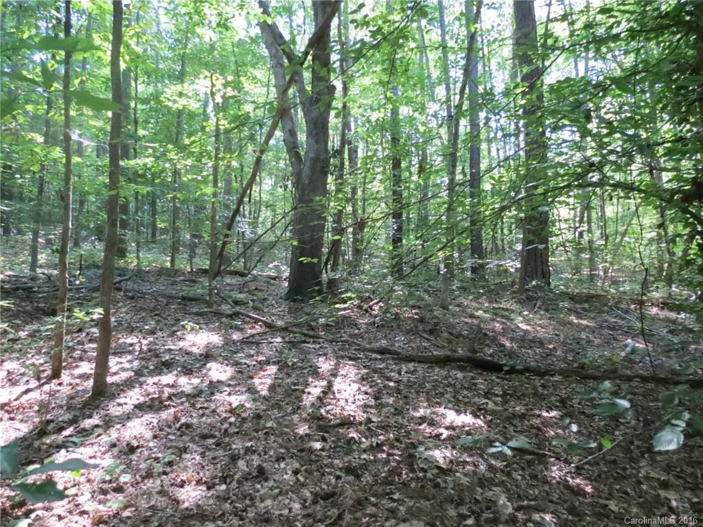 kings Forest - Land