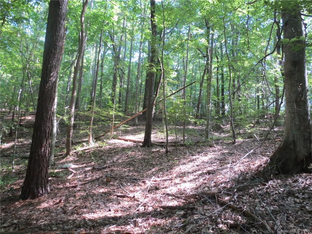 kings Forest - Land