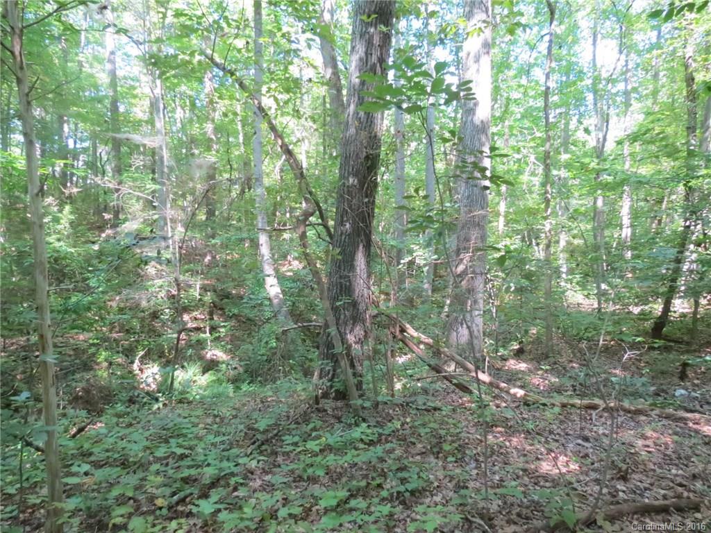 kings Forest - Land