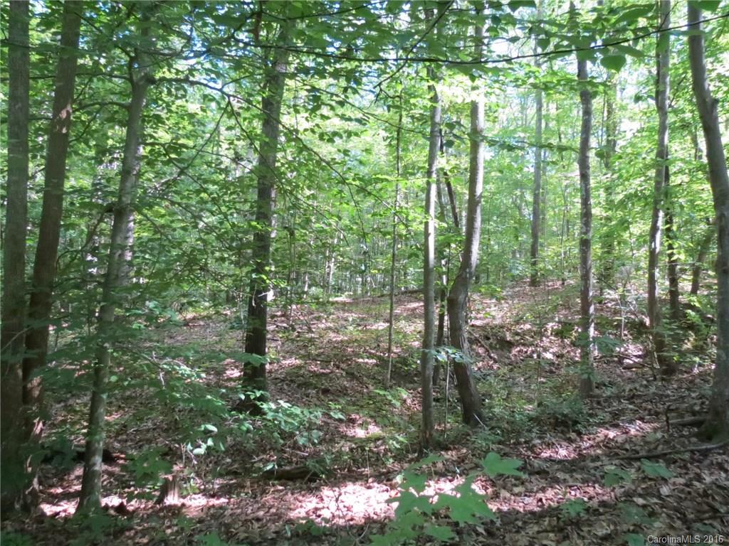 kings Forest - Land