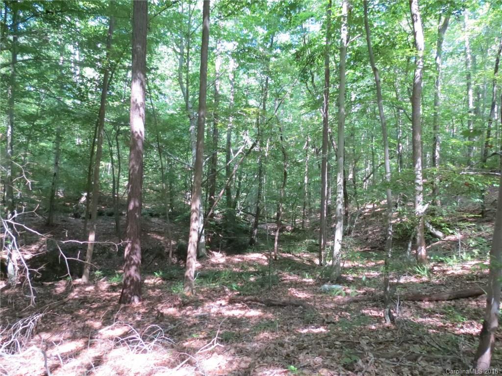 kings Forest - Land