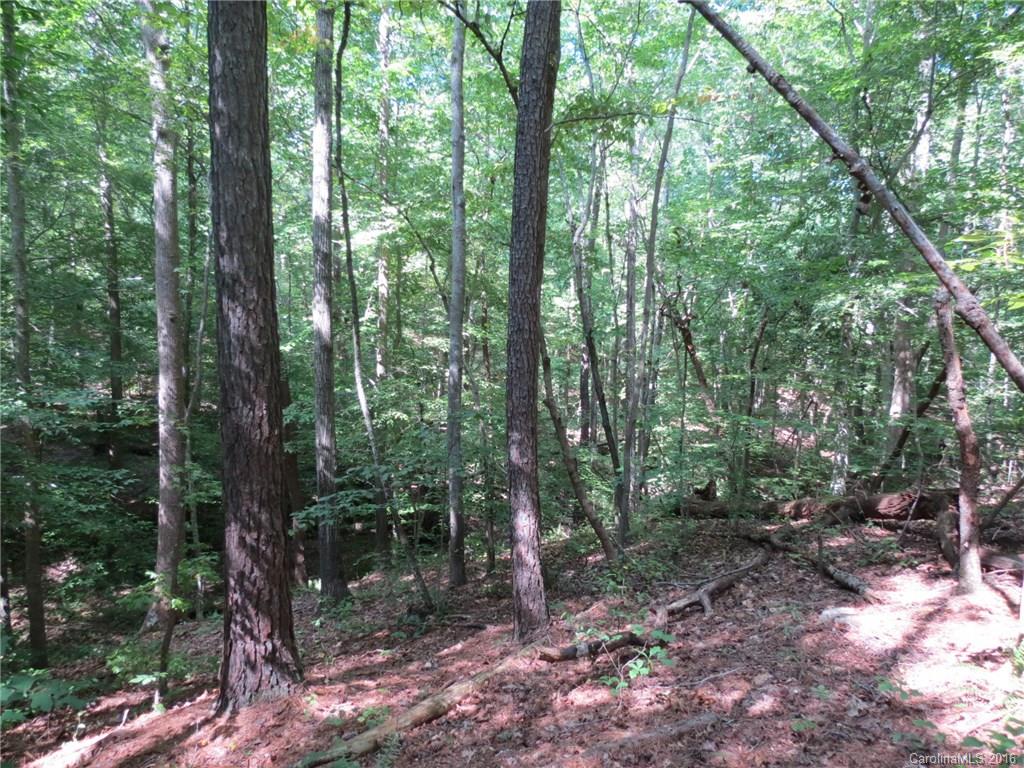 kings Forest - Land