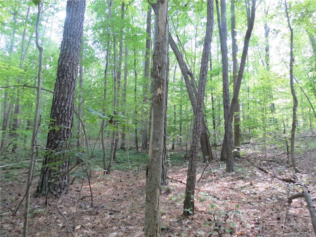 kings Forest - Land