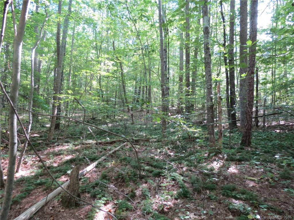 kings Forest - Land