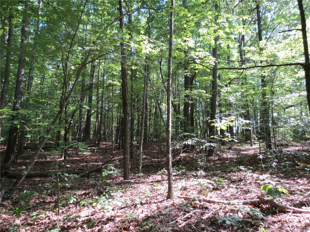 kings Forest - Land