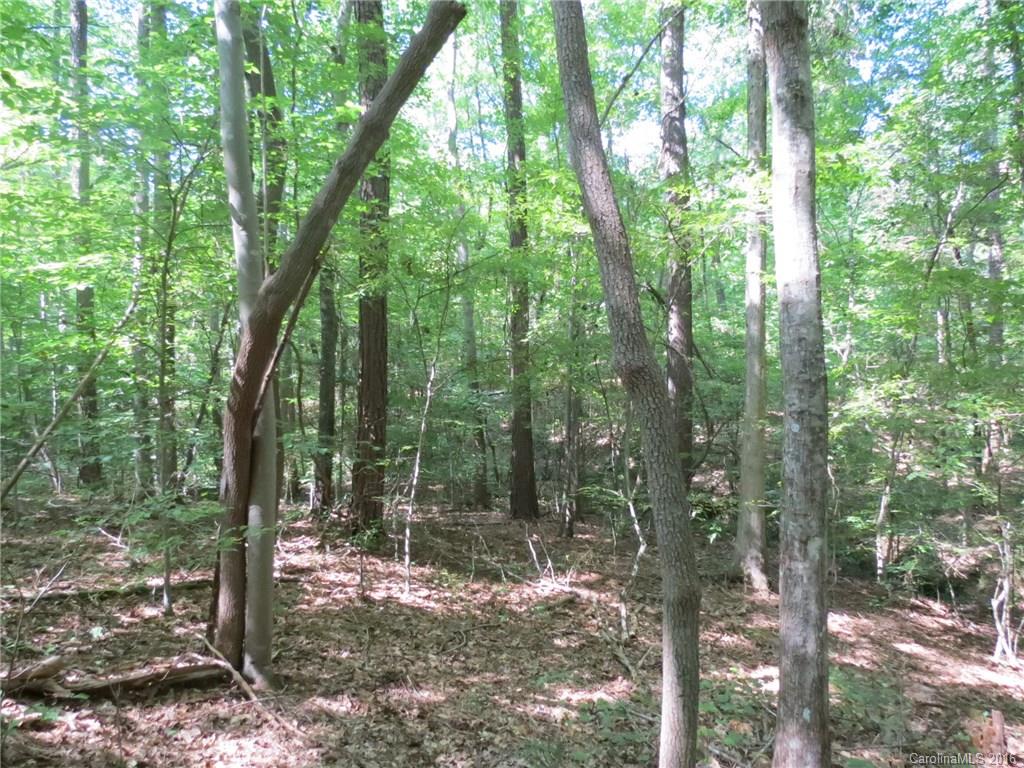 kings Forest - Land