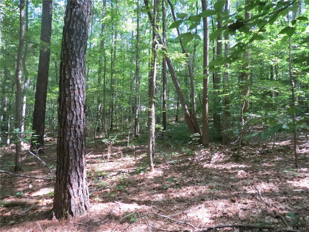 kings Forest - Land