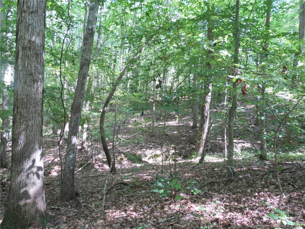 kings Forest - Land