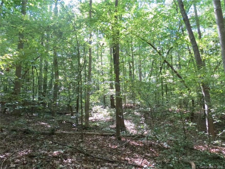 Beautiful wooded lot in the country.  This lot has very nice hardwoods throughout and a great building site in the back on top of a hill.  There are some great views from the build site and gives you a feeling of being in the mountains.  This lot is very private and has seasonal creek on the property.