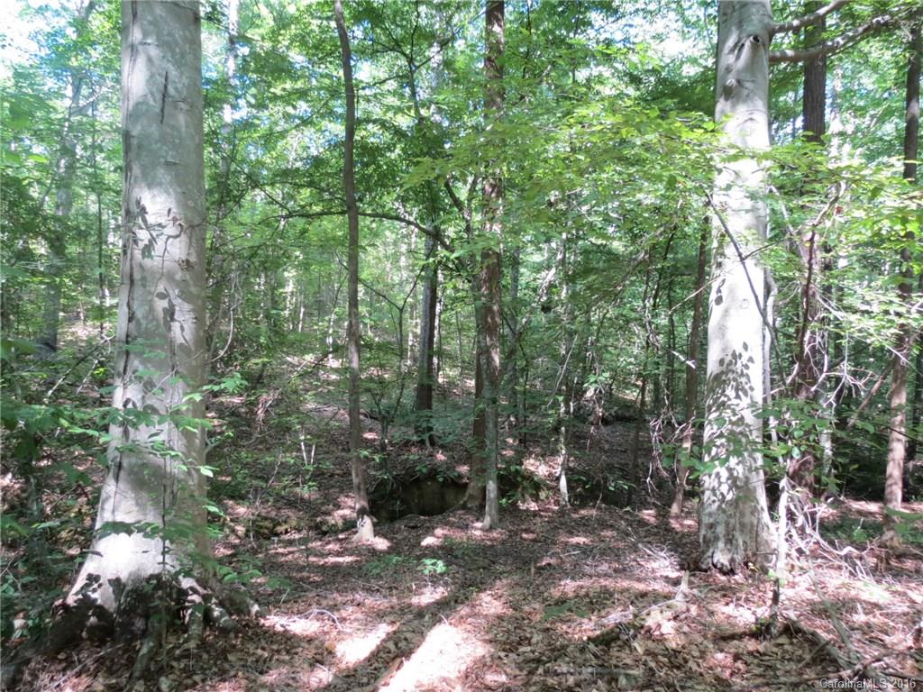 kings Forest - Land