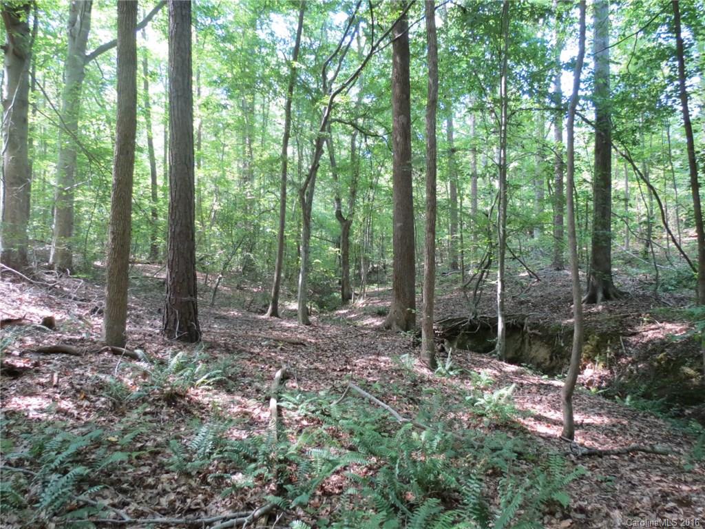 kings Forest - Land