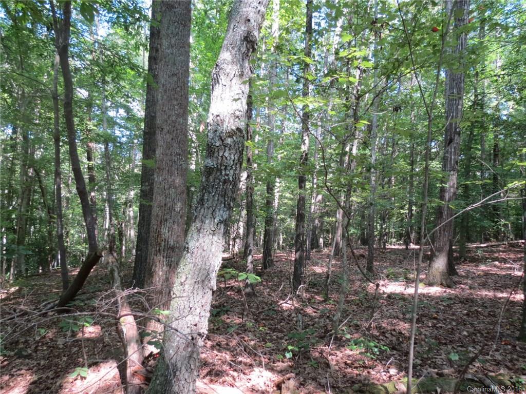 kings Forest - Land
