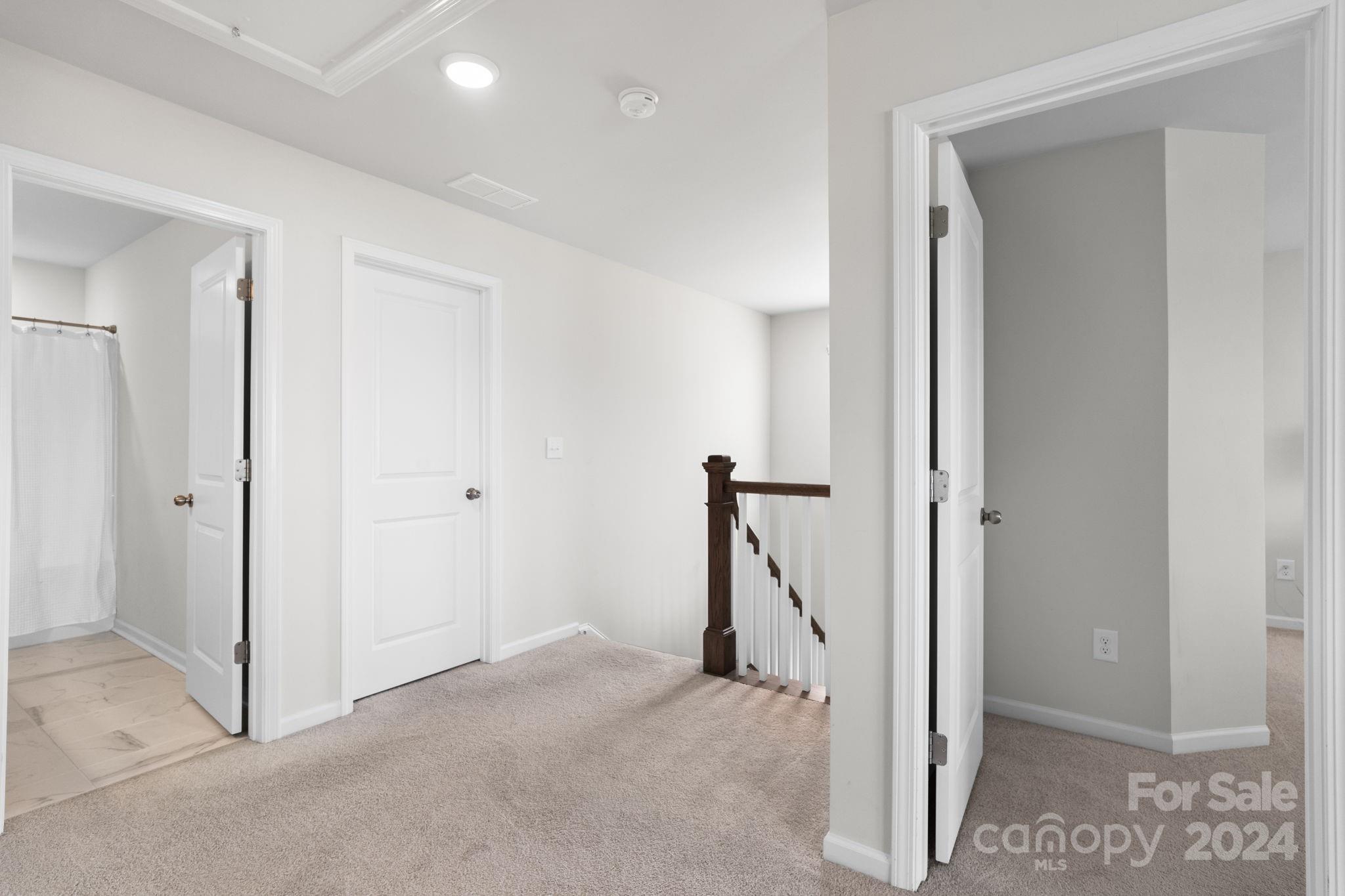 Ansley Park - Residential