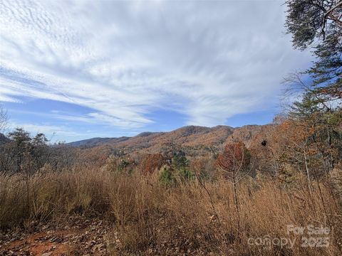148 Rocky Mountain Drive Lake Lure NC 28746