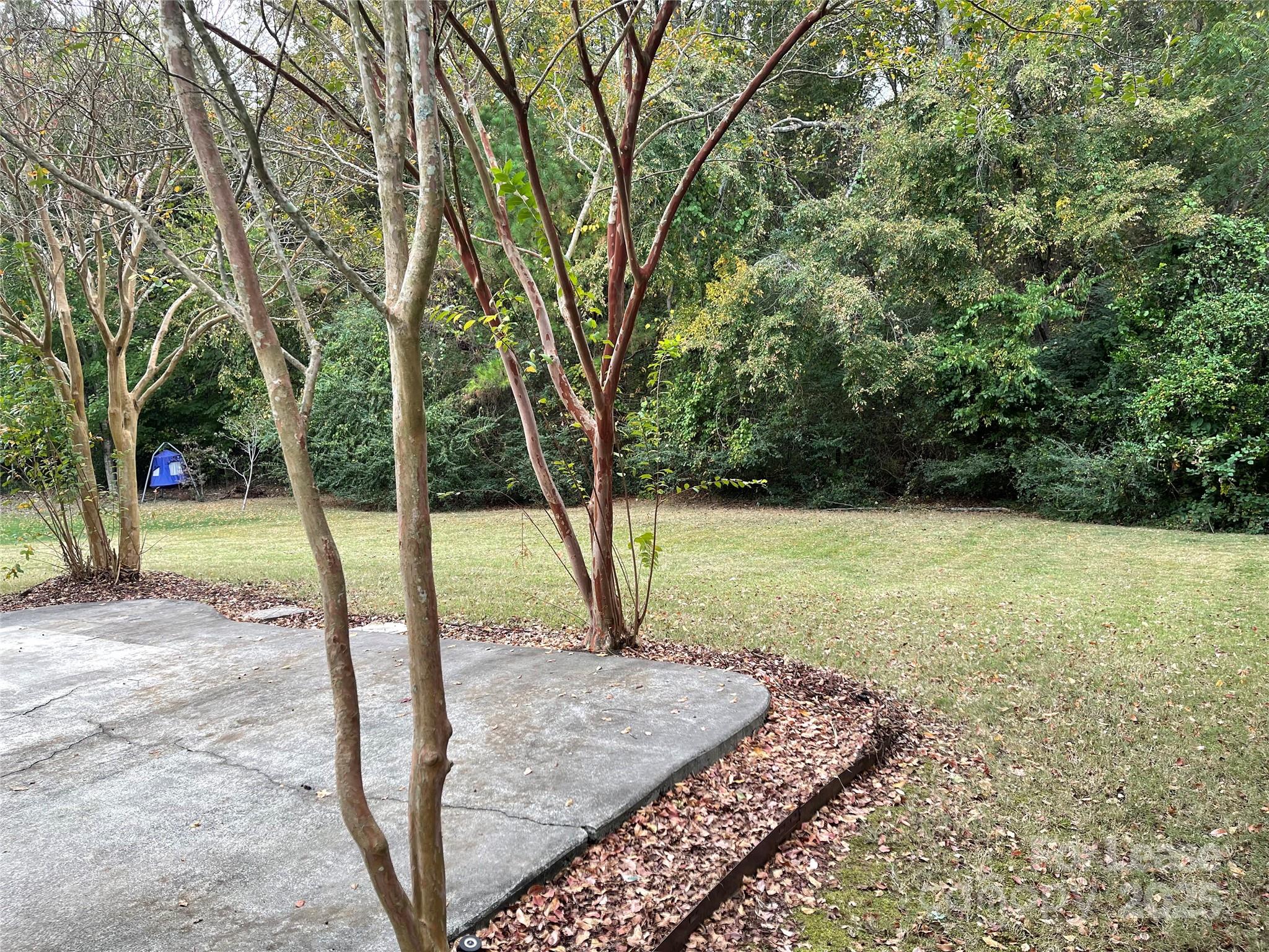 8619 Dennington Grove Lane