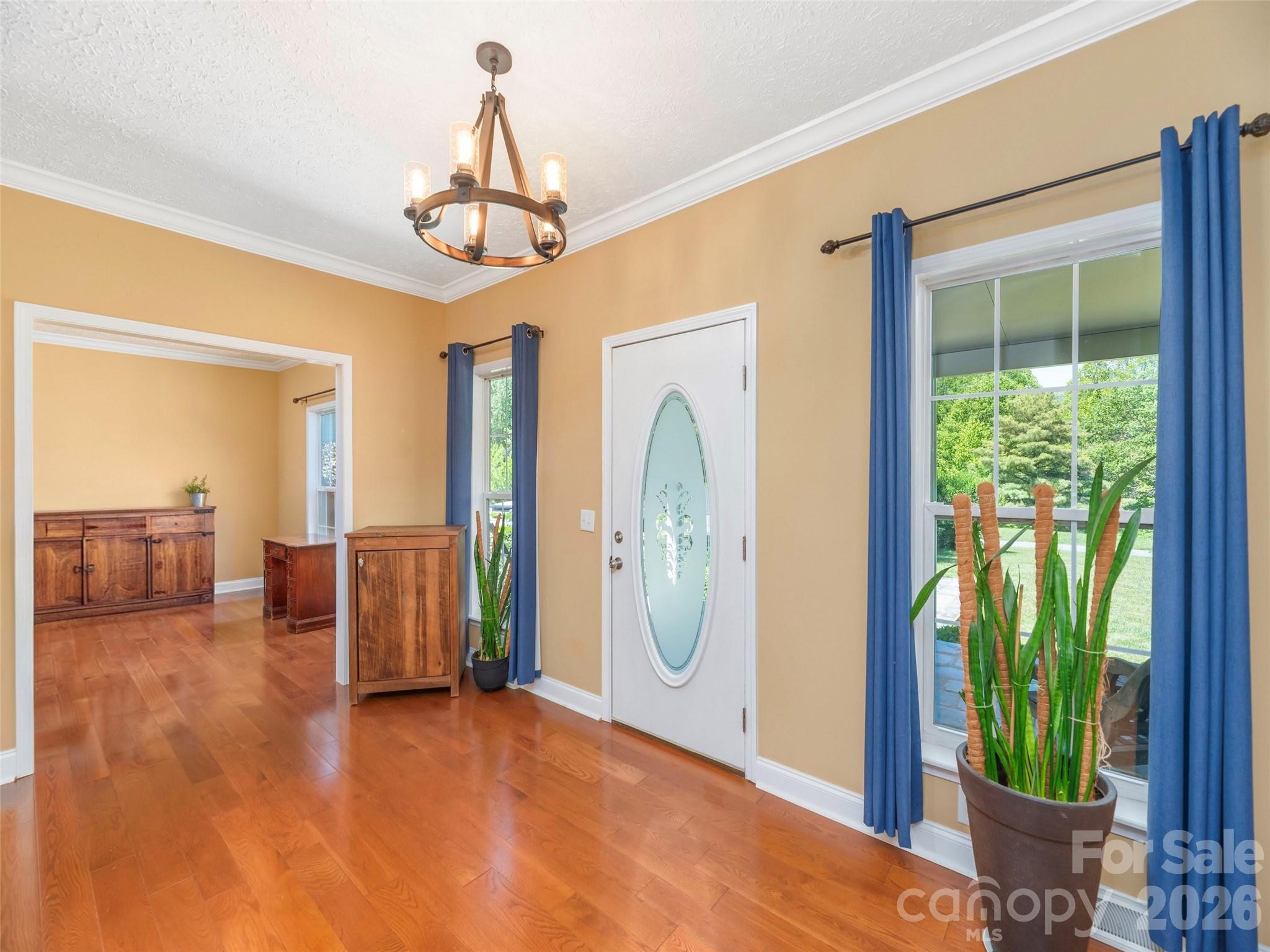 16 Chinaberry Court
