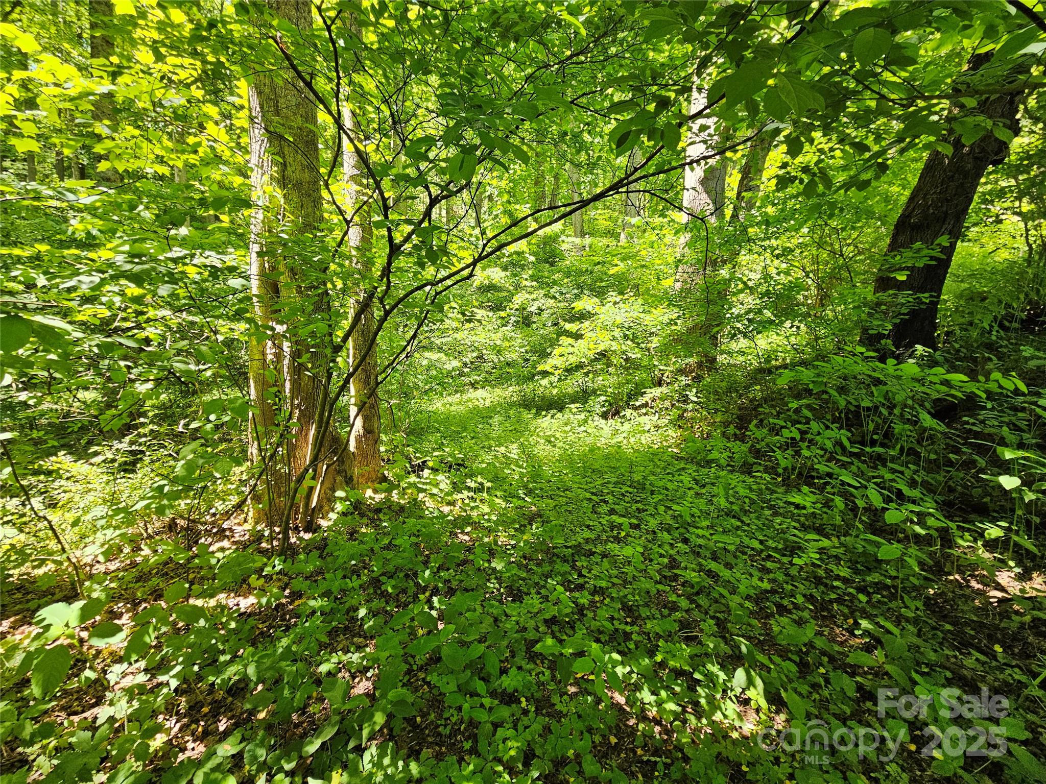 00 Owens Road