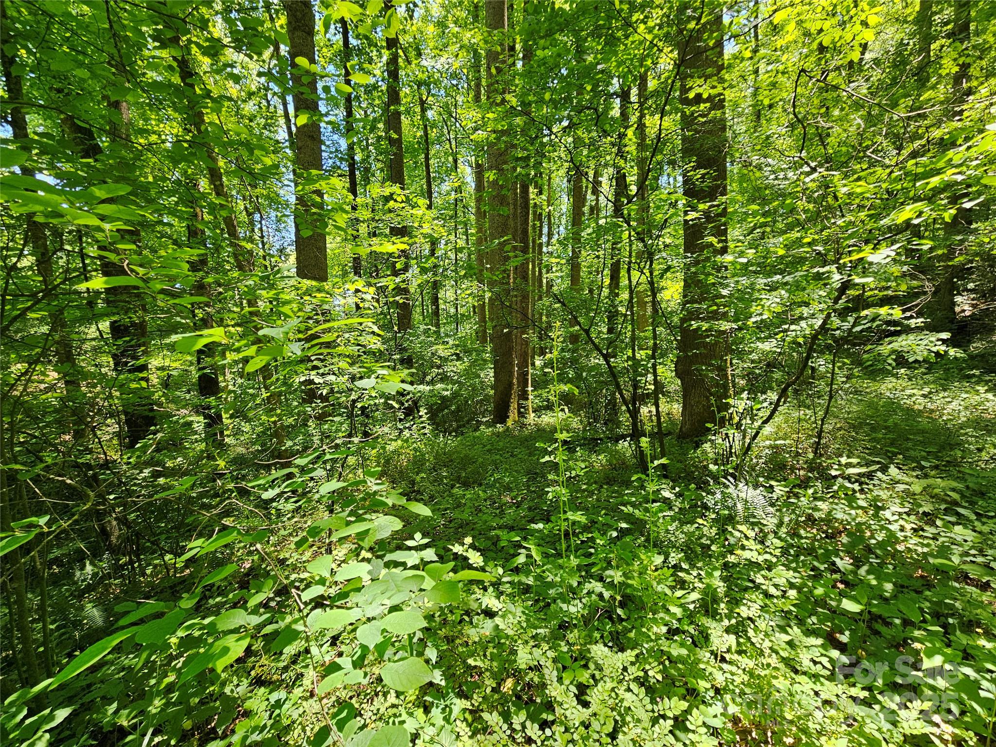 00 Owens Road