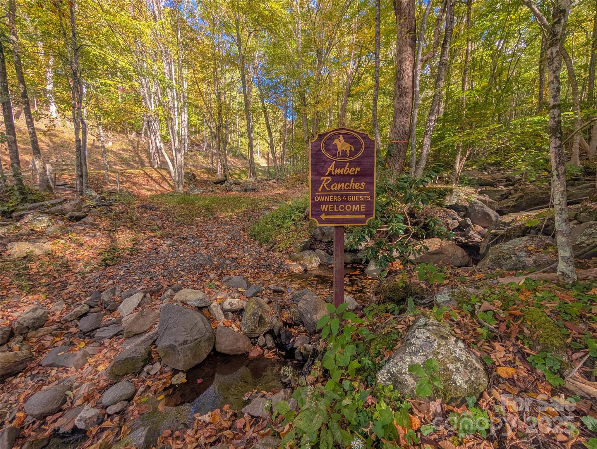 Amber Ranches - Land