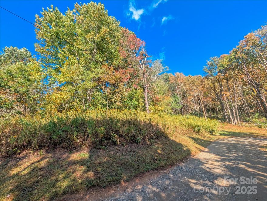 Build Your Mountain Dream Home on 2.01 Acres Tucked away in the peaceful Amber Ranches community. This wooded lot offers the perfect blend of privacy, nature, and mountain charm. Whether you’re envisioning a cozy mountain cabin, a peaceful second home, or a private estate surrounded by trees and fresh air and outstanding winter view this property is your blank canvas. Surrounding area rich with multi artisans crafters, hiking trails and many hidden treasures.  Located amid Blue Ridge Mountains & convenient to nearby Blue Ridge Parkway, Roan Mountain, local towns & Johnson City makes it the perfect central location with access to all amenities while maintaining the rich mountain charm.  Gentle terrain and beautiful natural surroundings, come experience the magic of the North Carolina mountains for your seasonal or year round home.