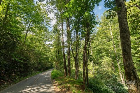99999 Christian Creek Road Swannanoa NC 28778