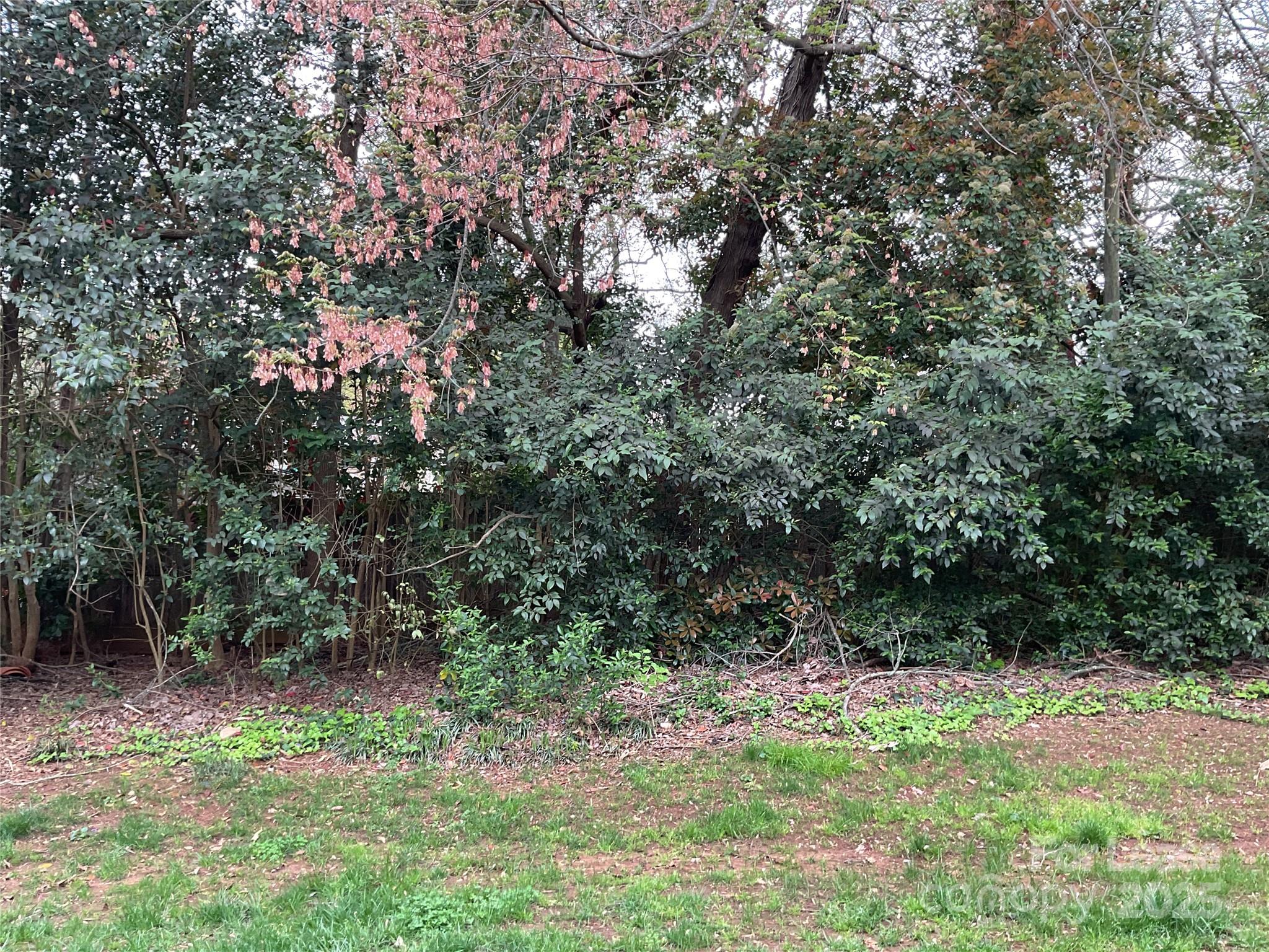 Walker Woods - Residential Lease