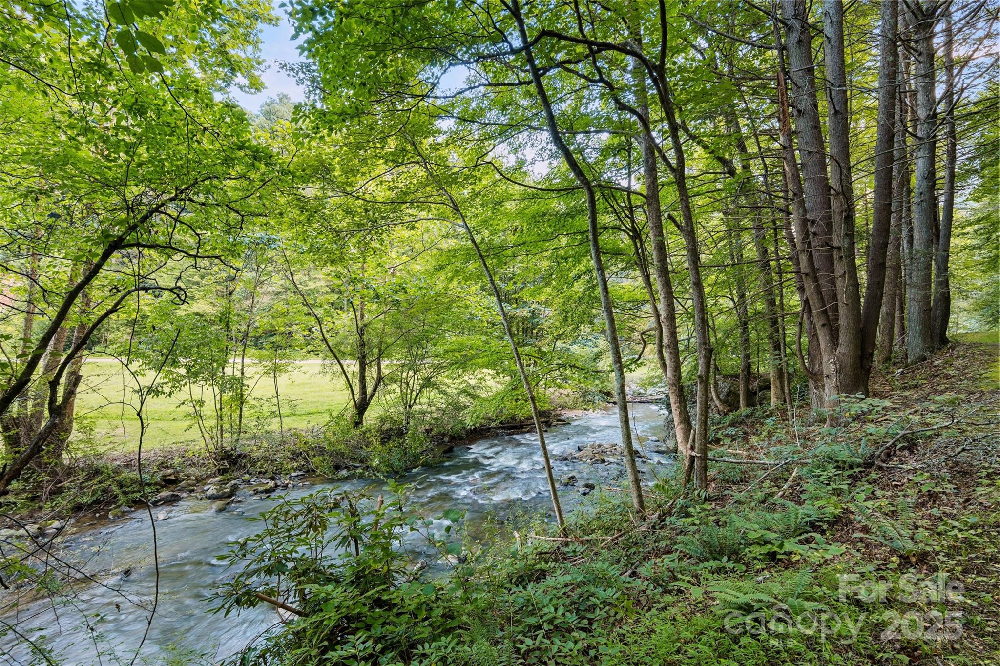 12215 Big Laurel Road