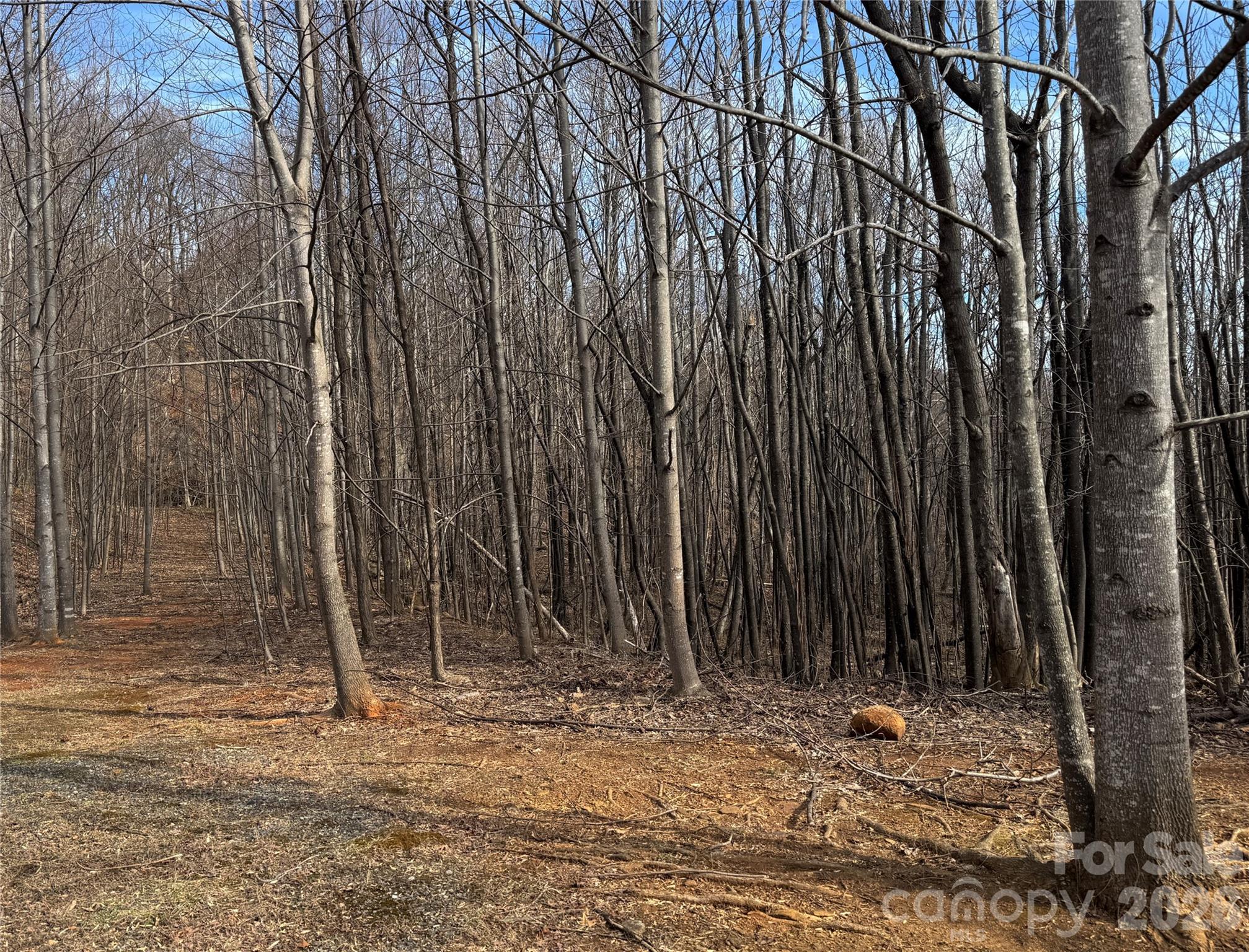 Brights Creek - Land