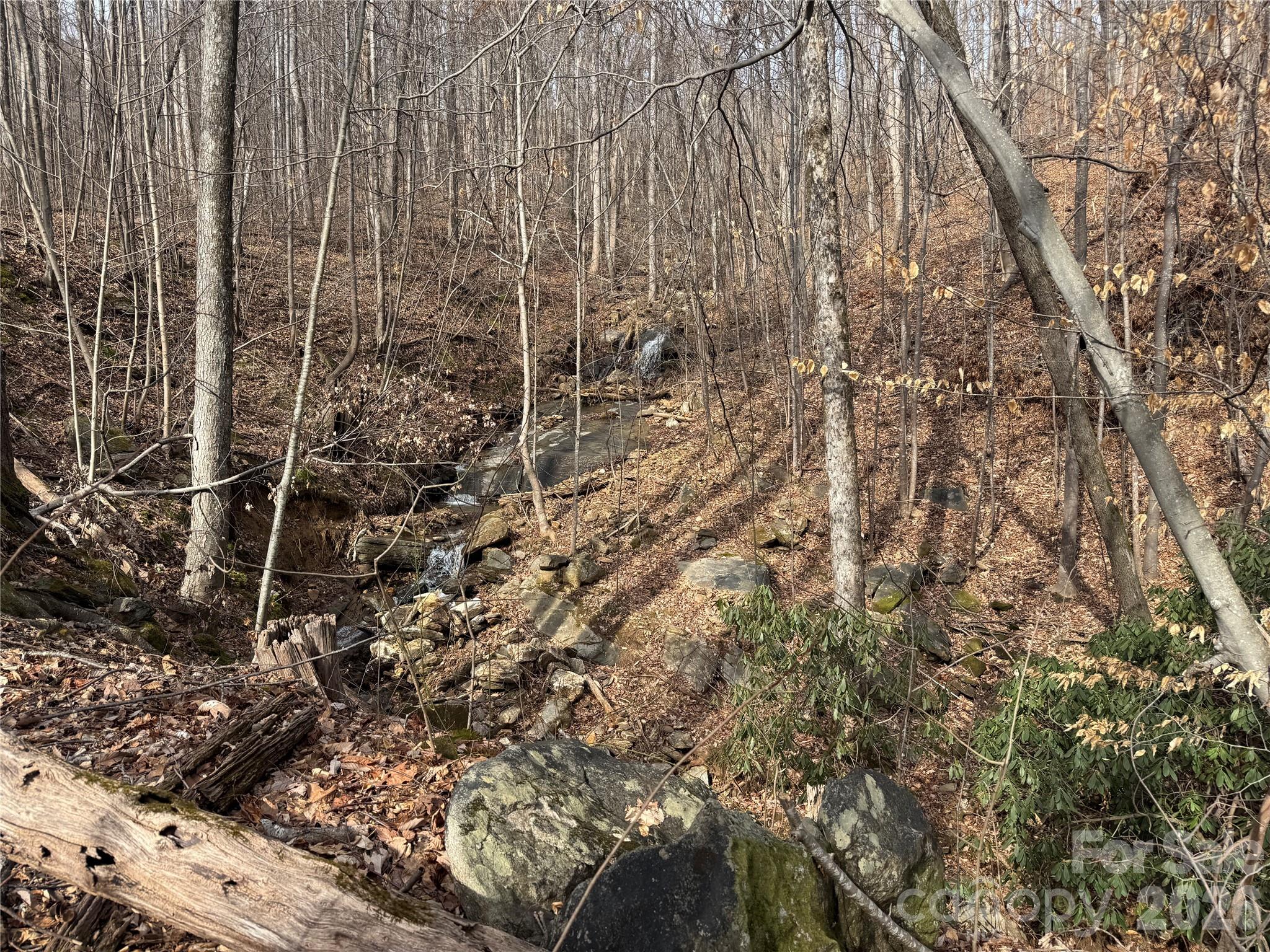 Brights Creek - Land