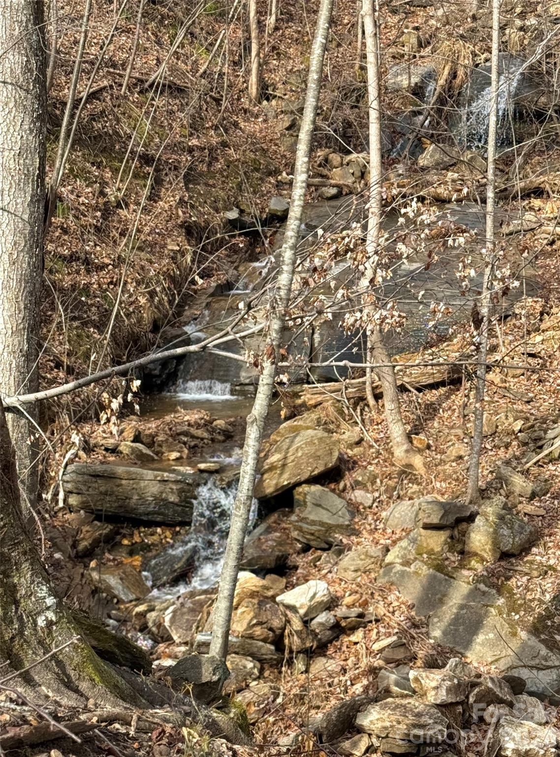 Brights Creek - Land