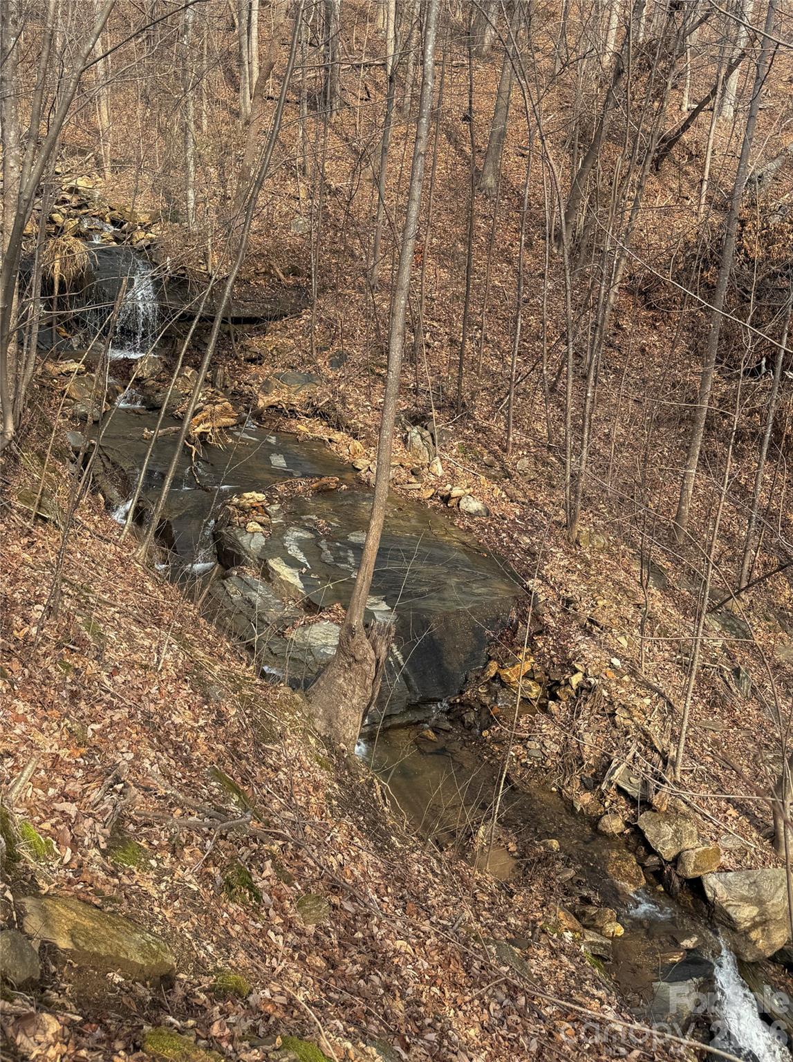 Brights Creek - Land