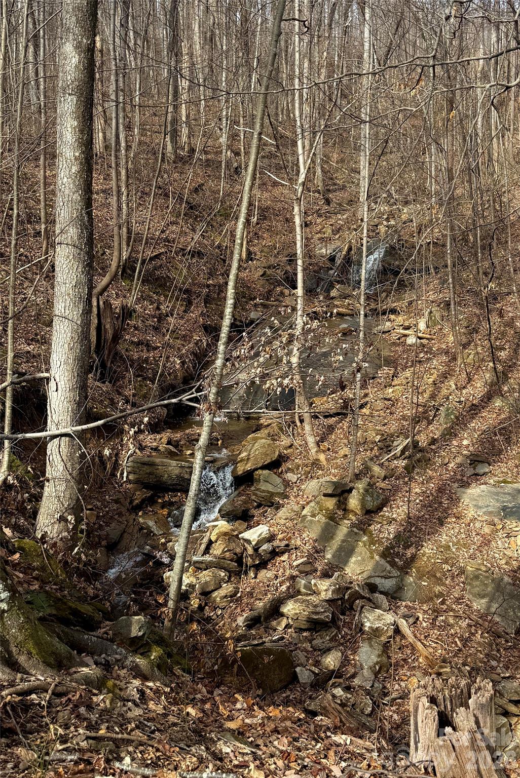 Brights Creek - Land