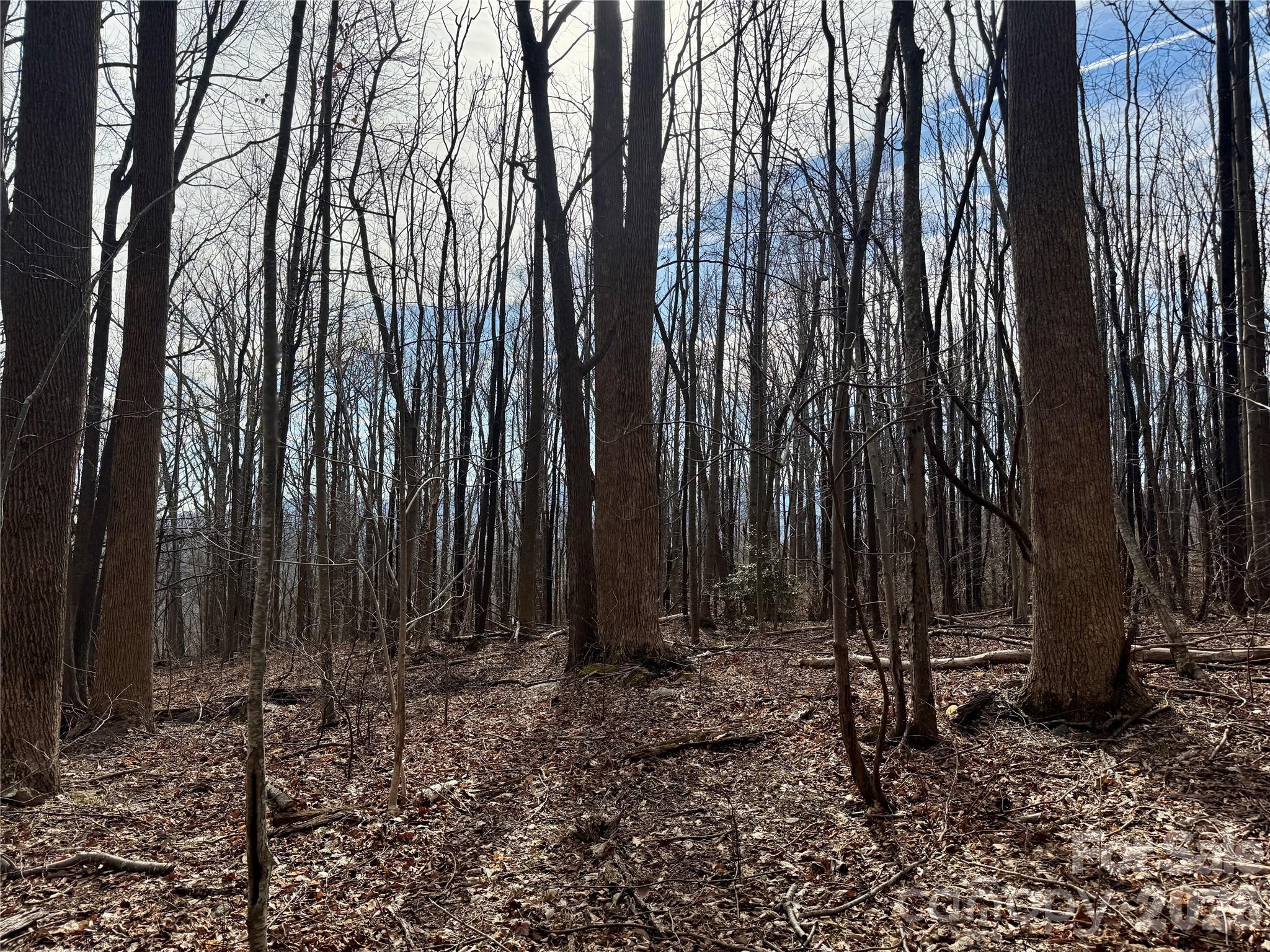 Brights Creek - Land