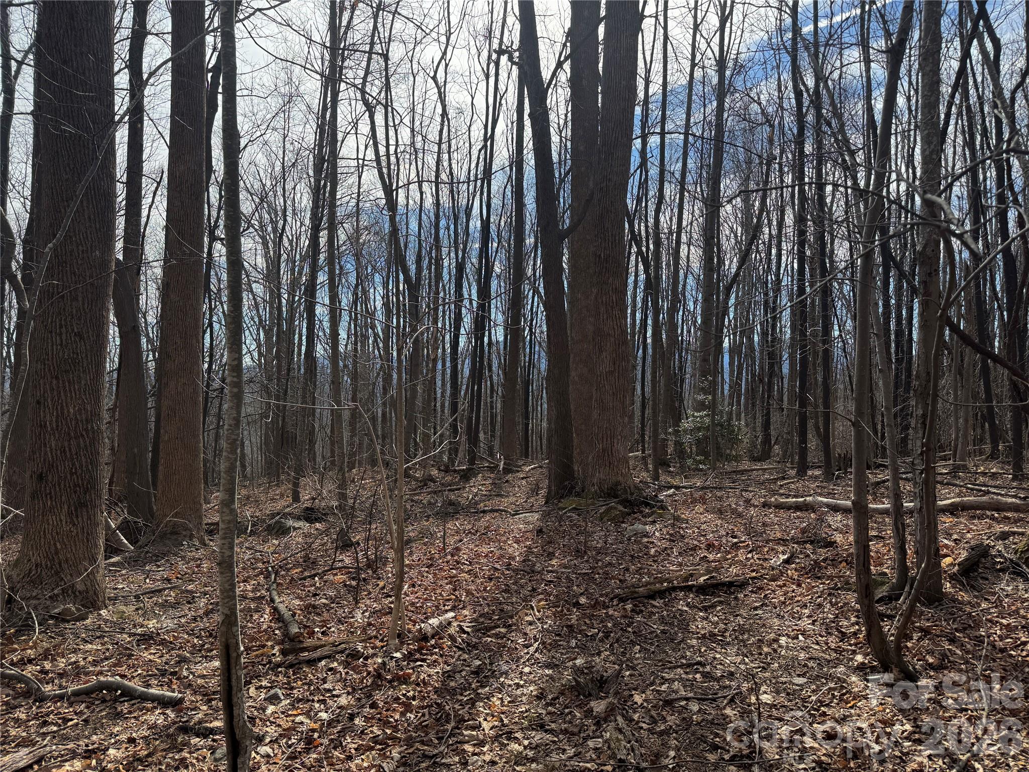 Brights Creek - Land