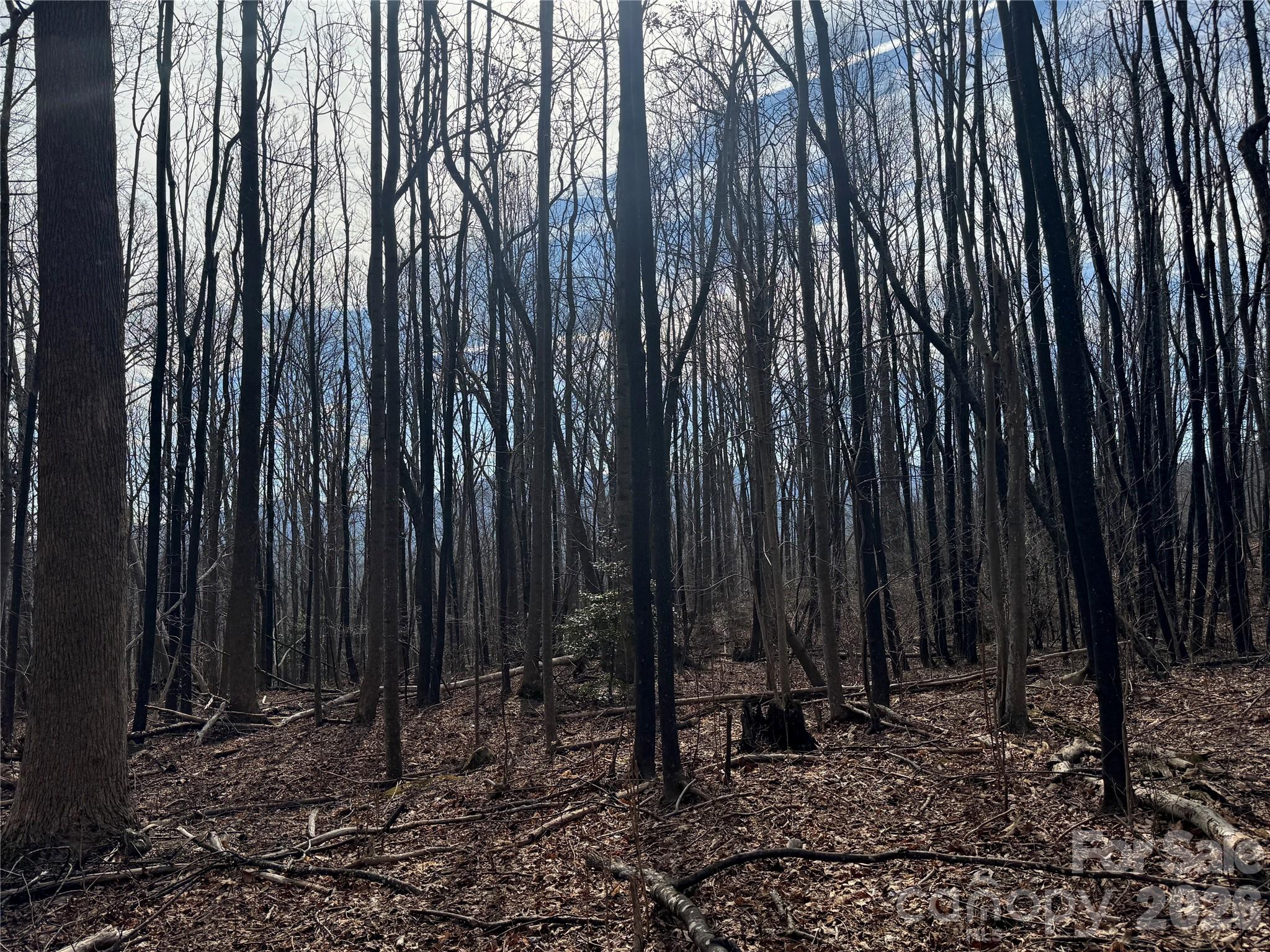 Brights Creek - Land