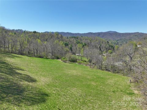TBD Baltimore Branch Road Hot Springs NC 28743