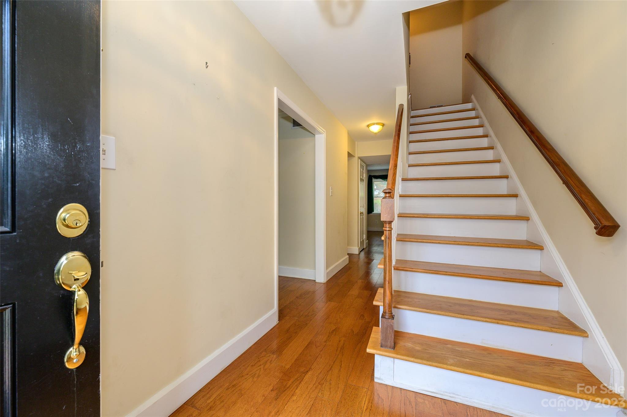 Olde Georgetowne - Residential