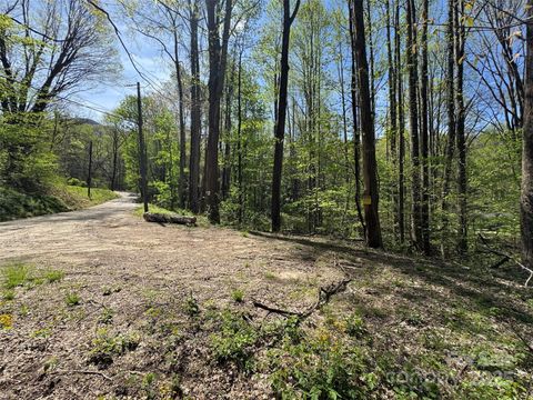 TBD (B) Browning Branch Road Waynesville NC 28786