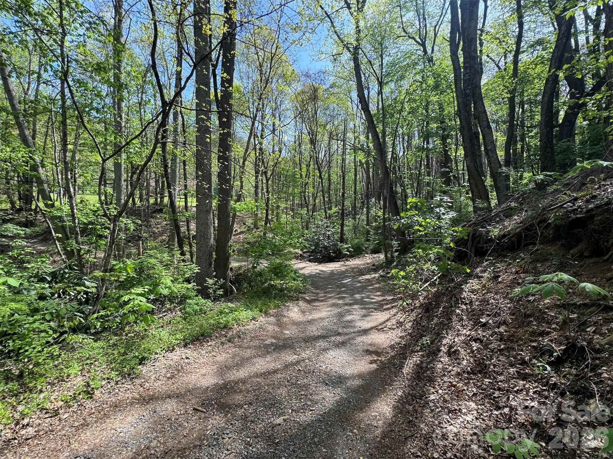 Chestnut Walk - Land
