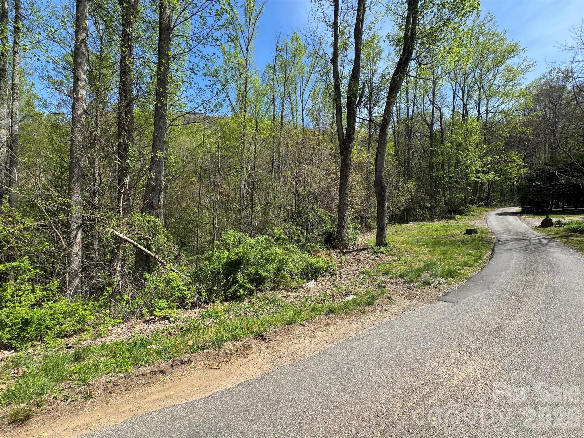 Chestnut Walk - Land