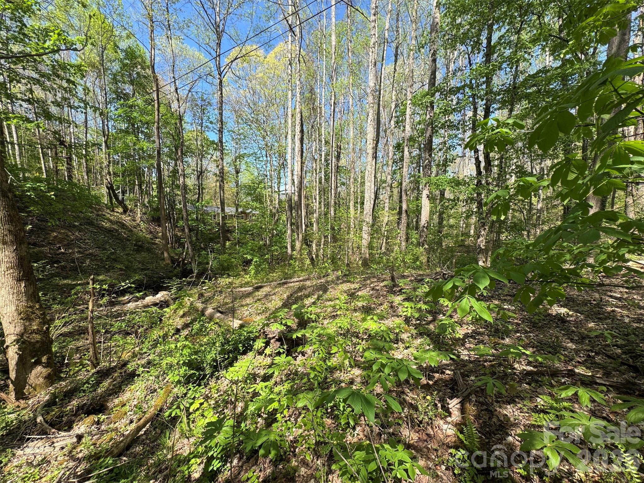 Chestnut Walk - Land