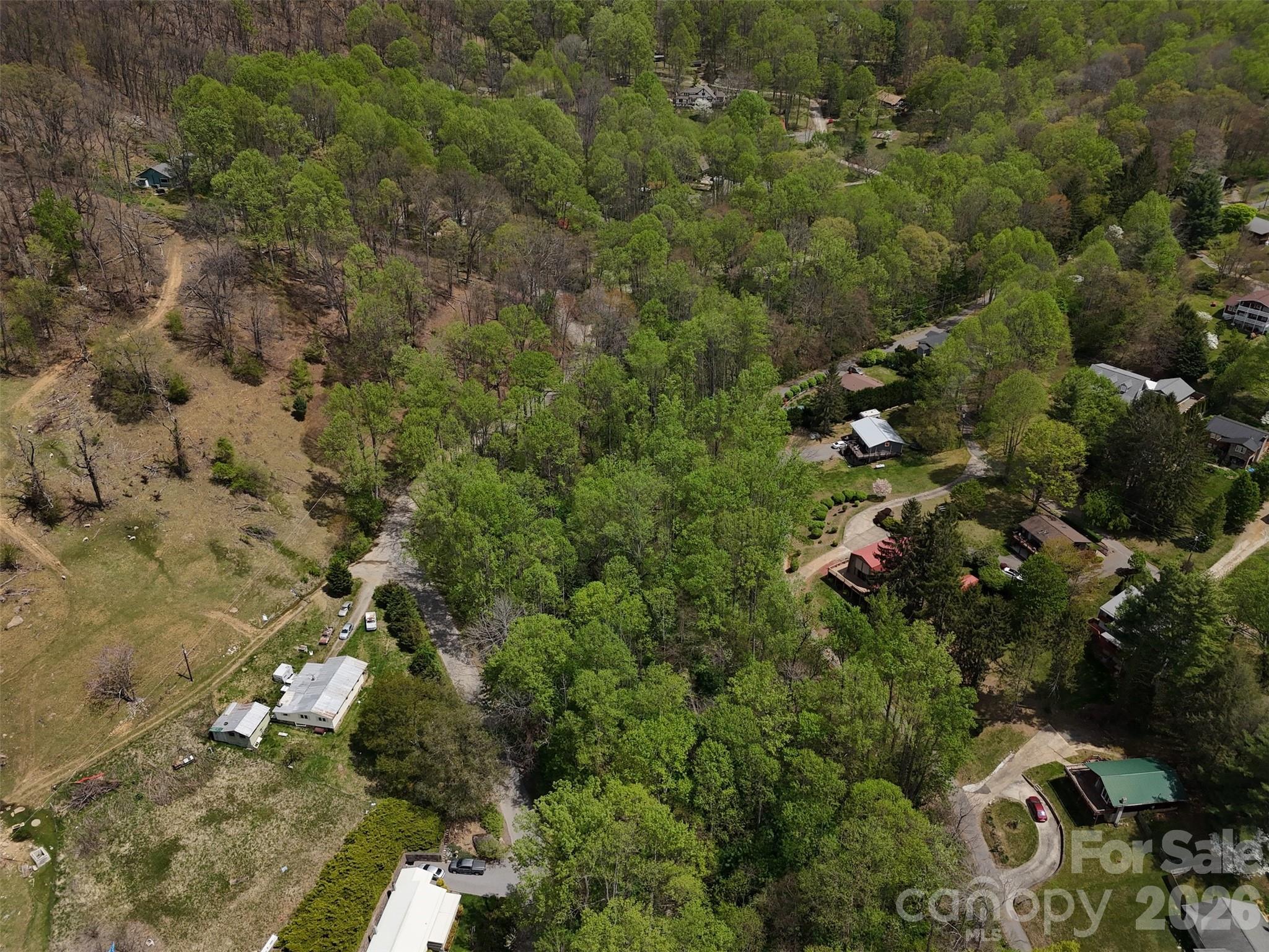 Chestnut Walk - Land