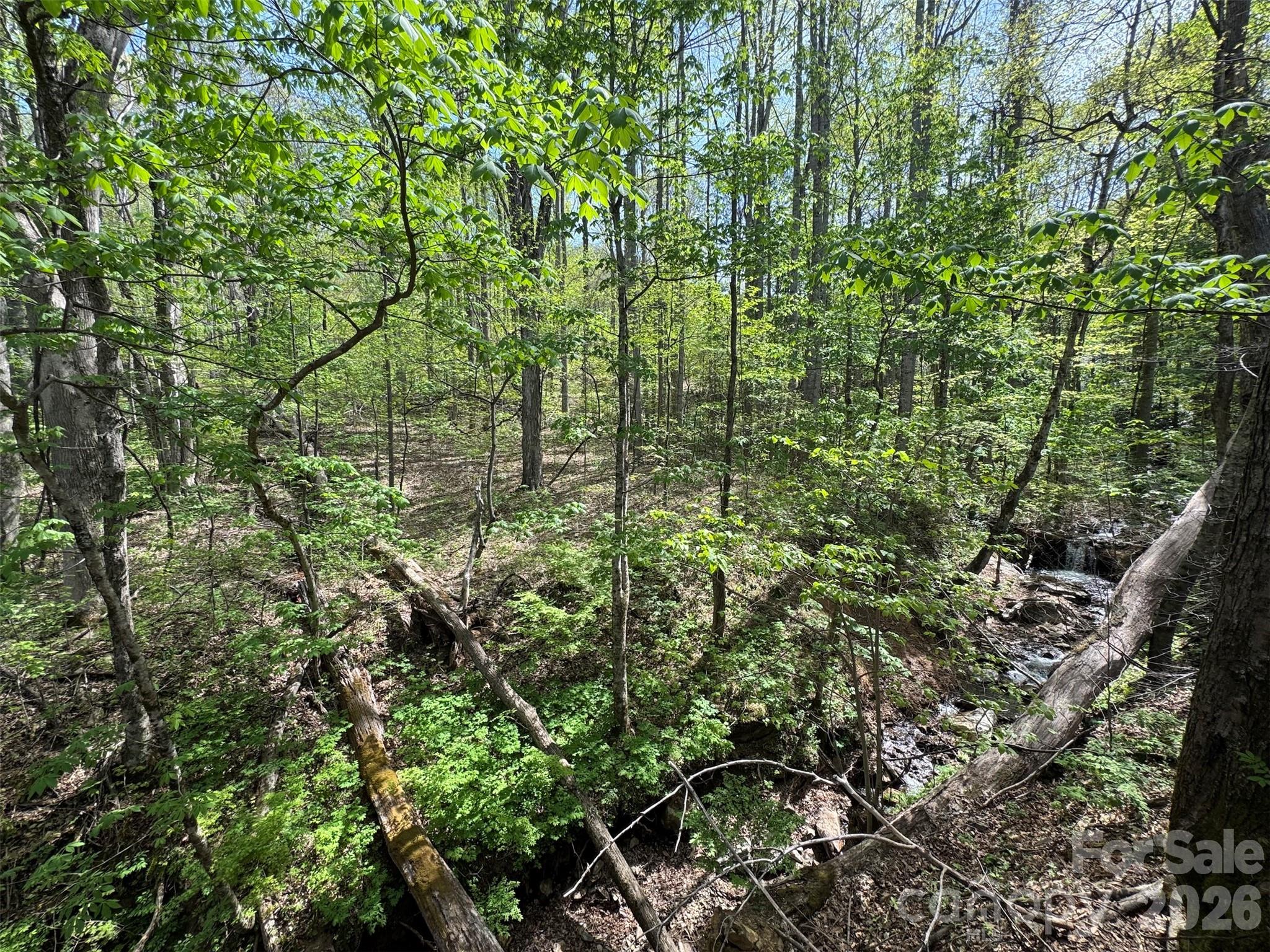 Chestnut Walk - Land