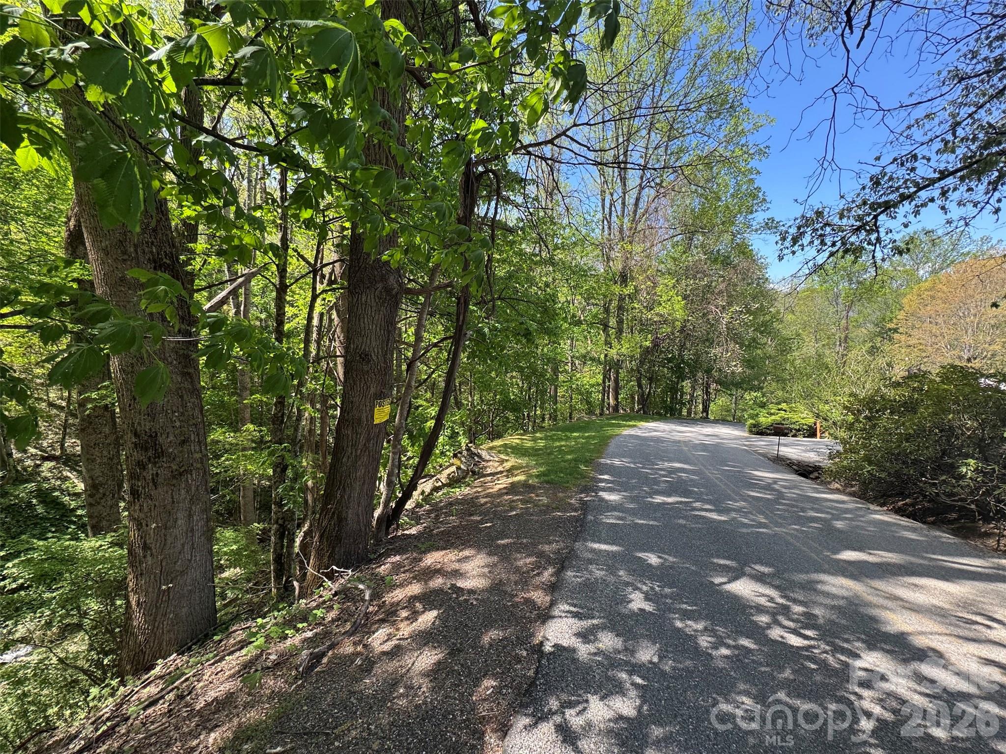 Chestnut Walk - Land