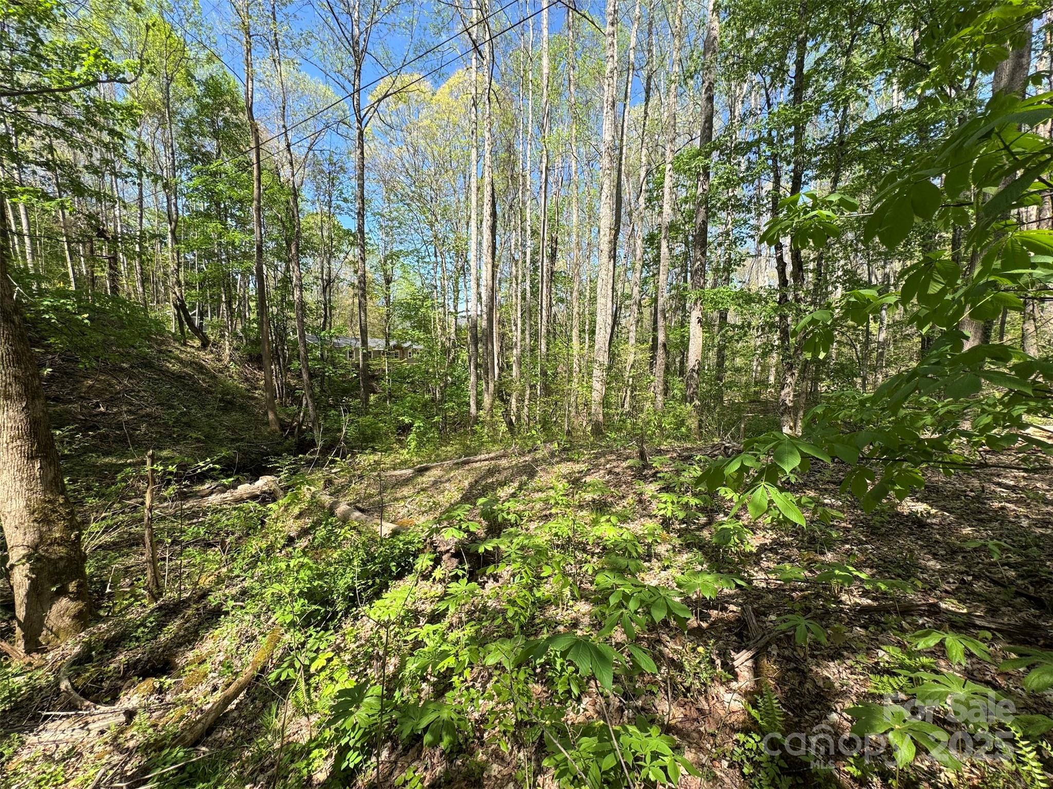 TBD (B) Browning Branch Road