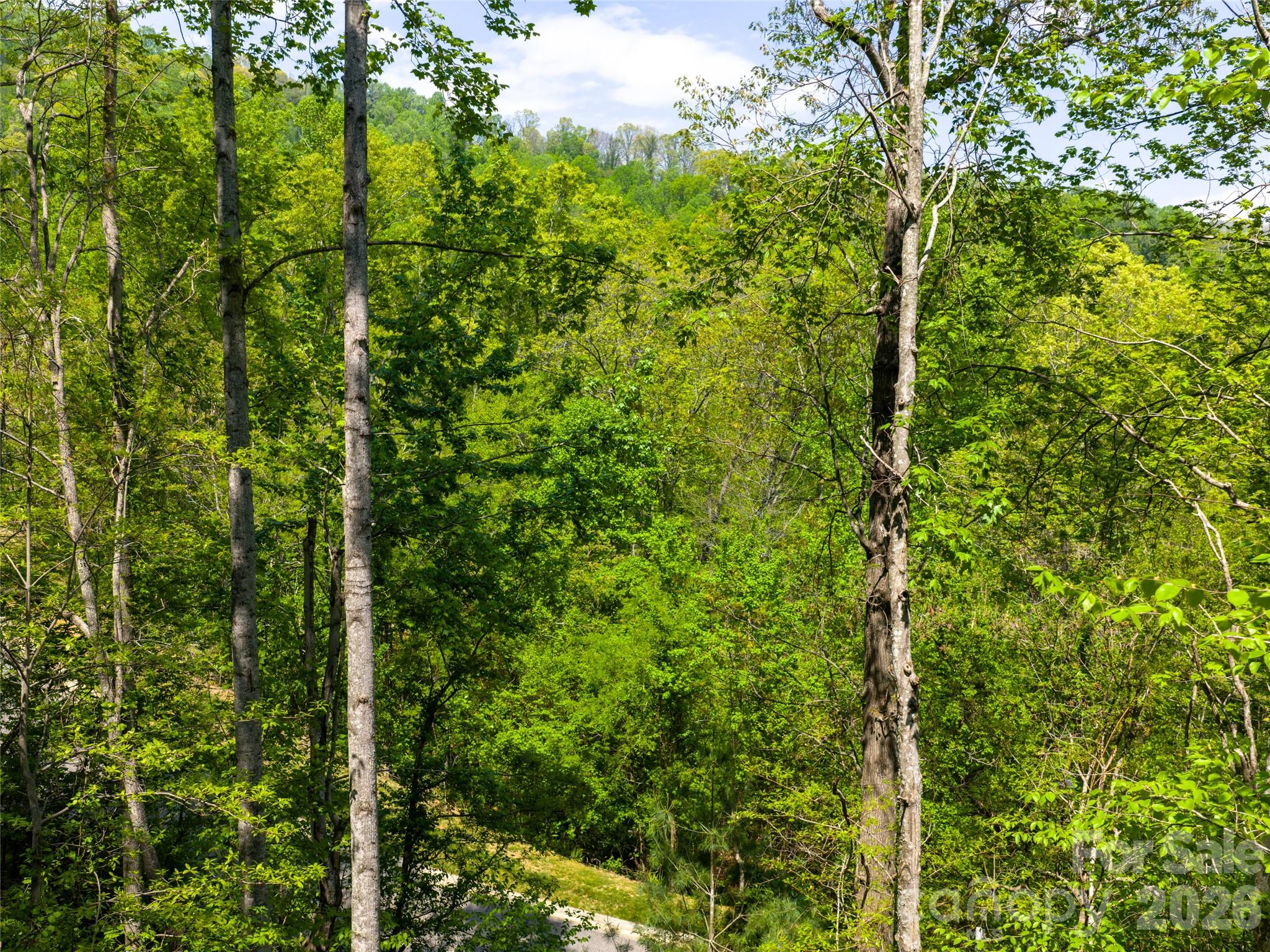 Poplar Ridge - Land
